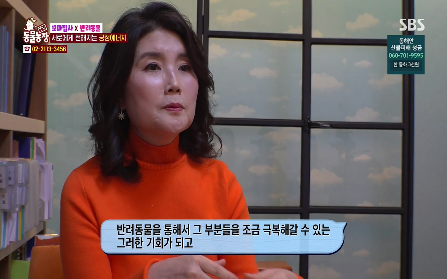 TV 동물농장.E1061.220320p.H264-F1RST.mp4_20220320_183619.619.jpg