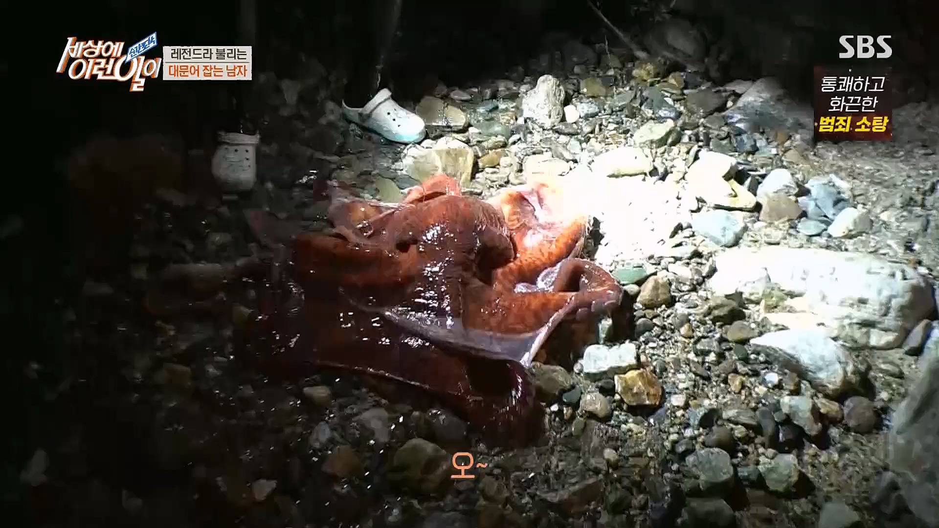 순간포착 세상에 이런일이.E1214.230117p.H264-F1RST.mp4_20230118_192427.923.jpg