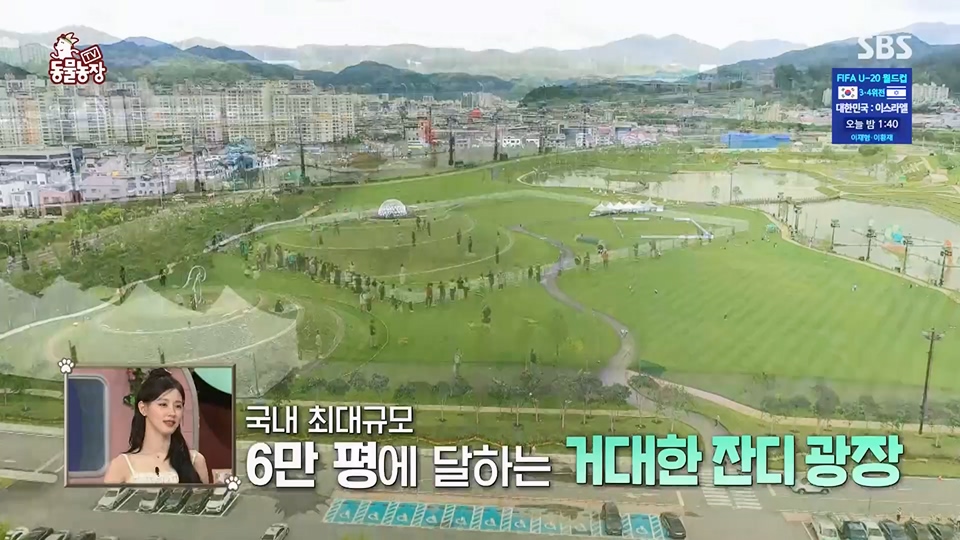 TV 동물농장.E1124.230611p.H264-F1RST.mp4_20230611_173527.454.jpg