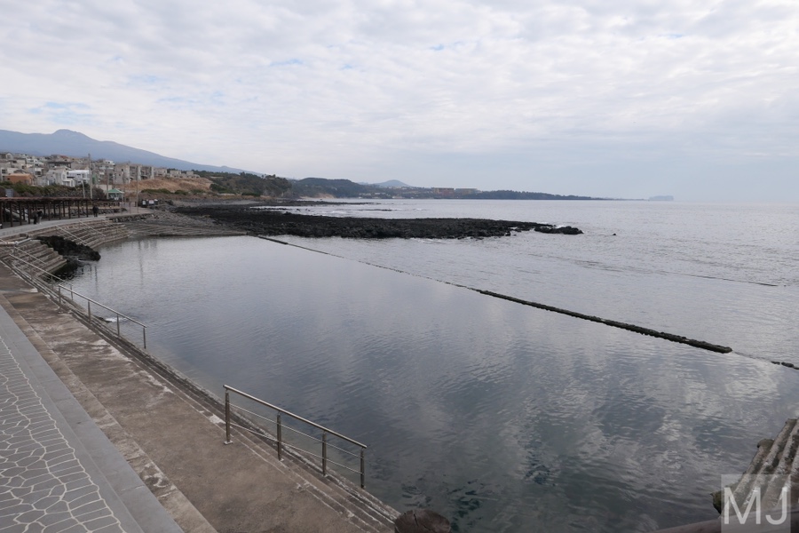 어린왕자 체험 in 감귤밭 카페 9