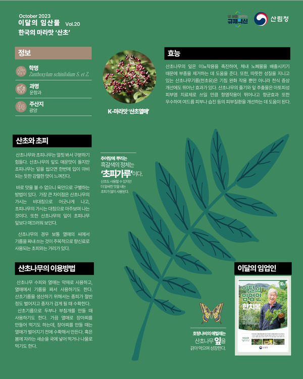 산초나무효능