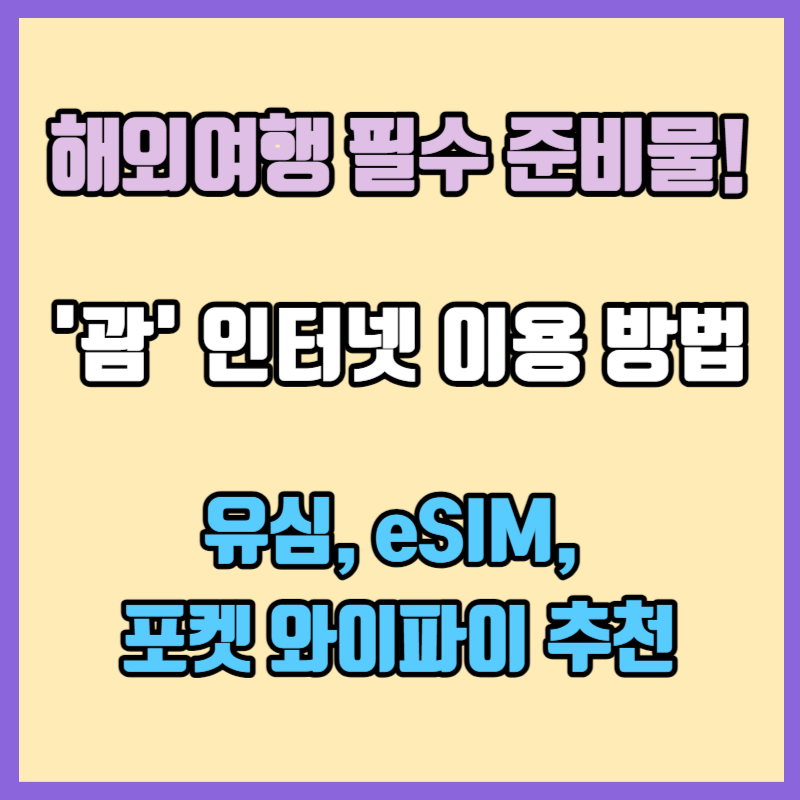 해외여행 필수 준비물! &#39;괌&#39;에서 인터넷 이용 방법(유심&#44; eSIM&#44; 포켓 와이파이 추천)