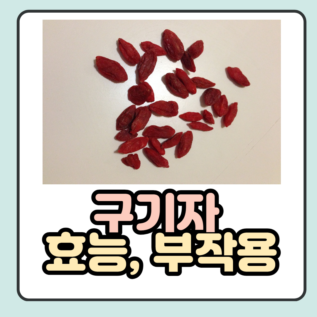  구기자 효능과 부작용 자세하게 정리 했어요.