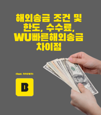  해외송금 조건 및 한도, 수수료, WU빠른해외송금 차이점 (+ 카카오뱅크)