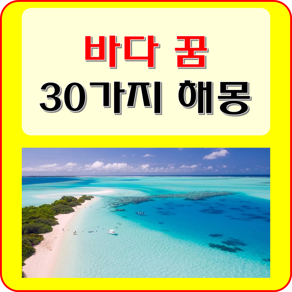 꿈이있는바다 이미지