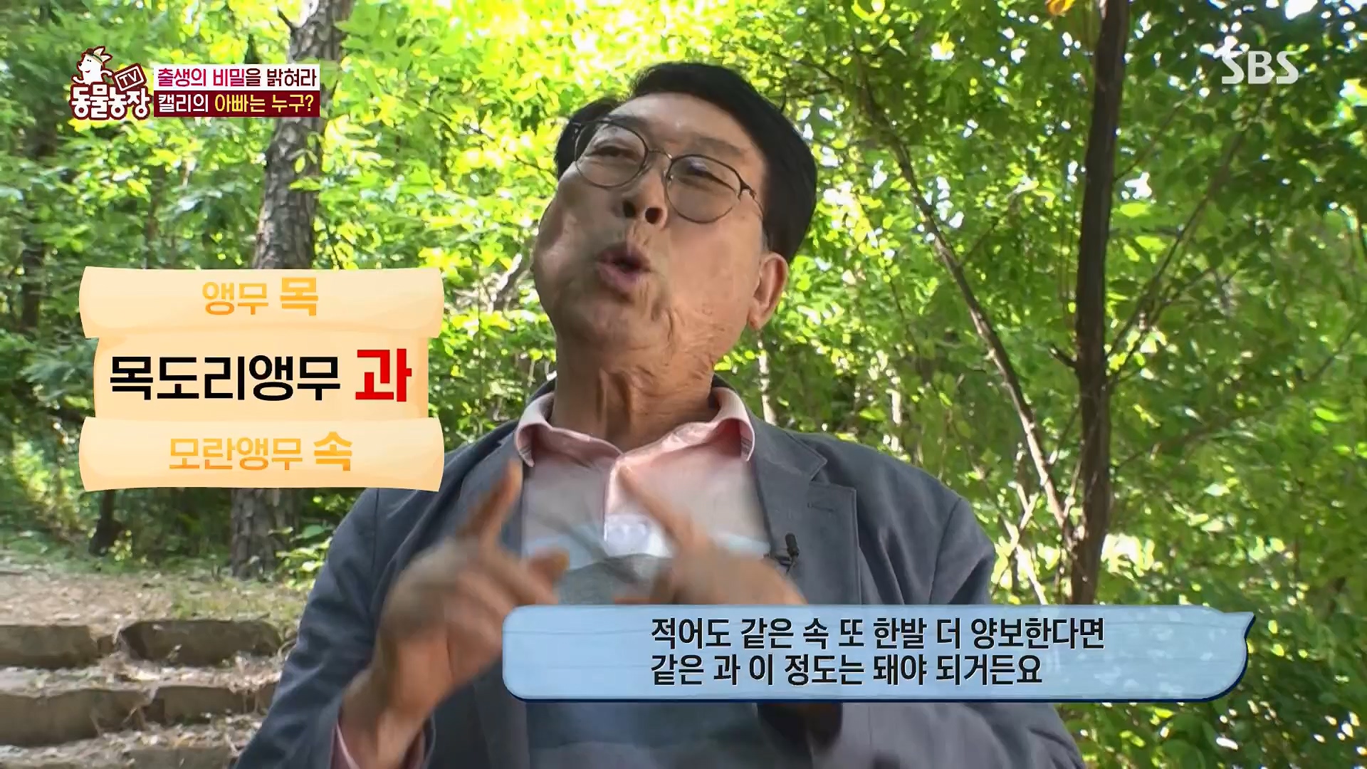 TV 동물농장.E1180.240714p.H264-F1RST.mp4_20240715_201734.512.jpg