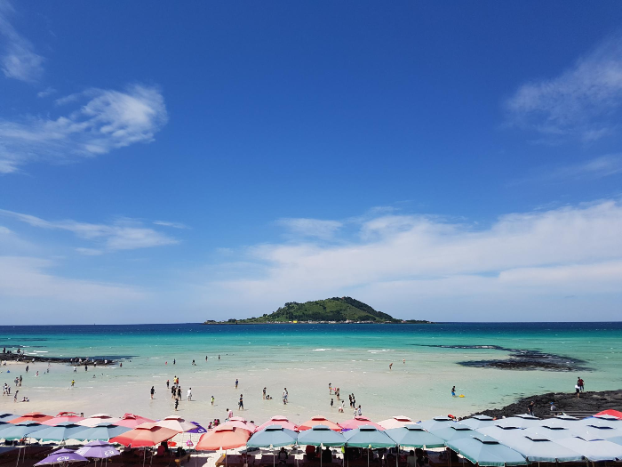  제주도에서 소품샵하기 좋은 위치 및 임대매물 찾기