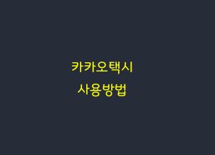 카카오택시 사용방법 호출하기
