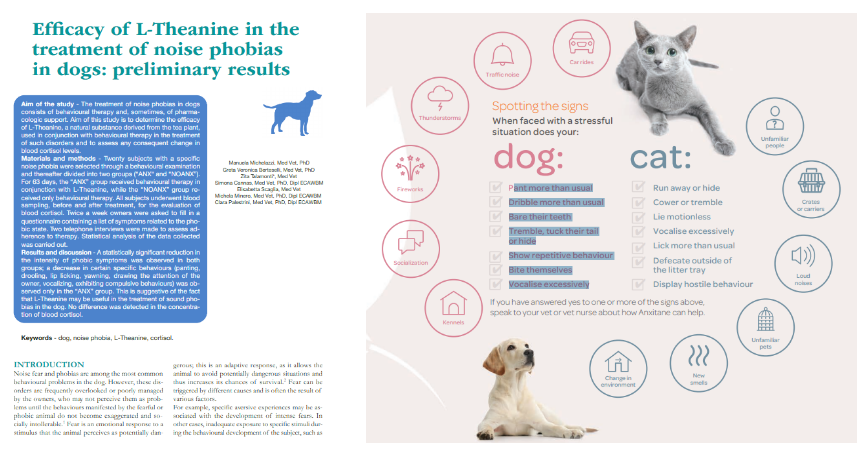 L-Theanine 연구논문( Efﬁcacy of L-Theanine in thetreatment of noise phobias in dogs: preliminary results)