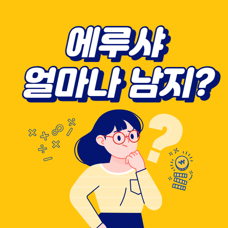  에루샤 명품 팔아 얼마를 버나?(에르메스,루이비통,샤넬)
