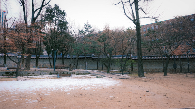 덕수궁