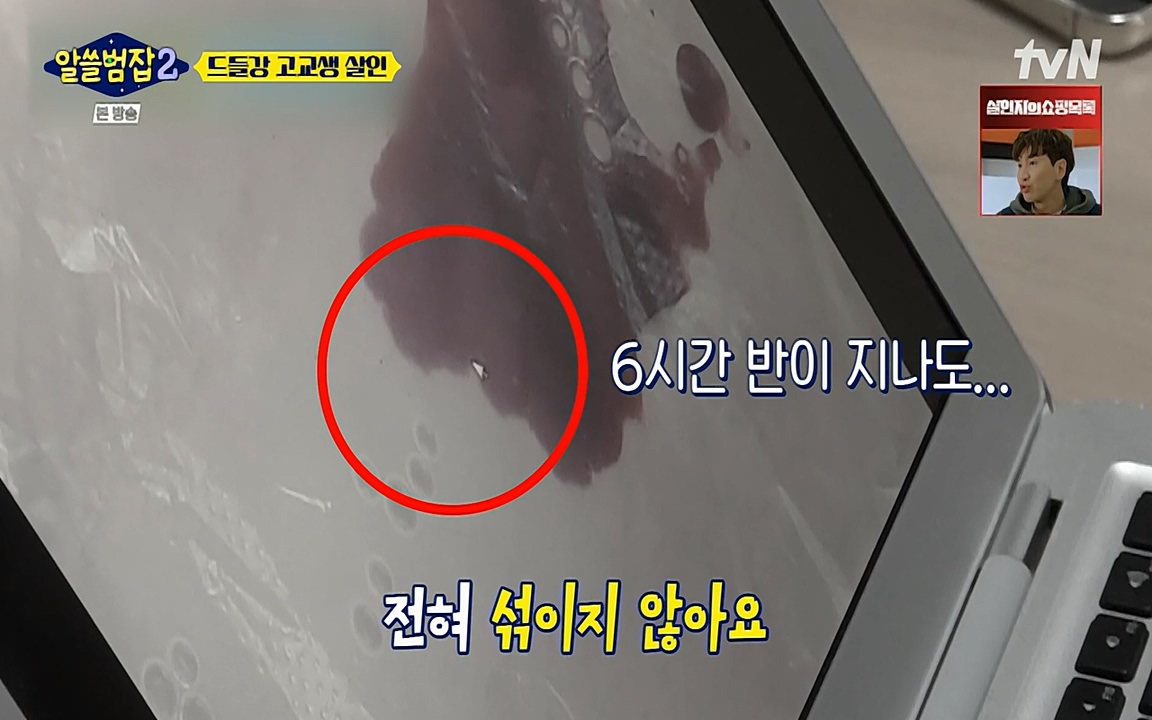 알쓸범잡 2.E15.220425p-NEXT.mp4_20220425_190428.986.jpg