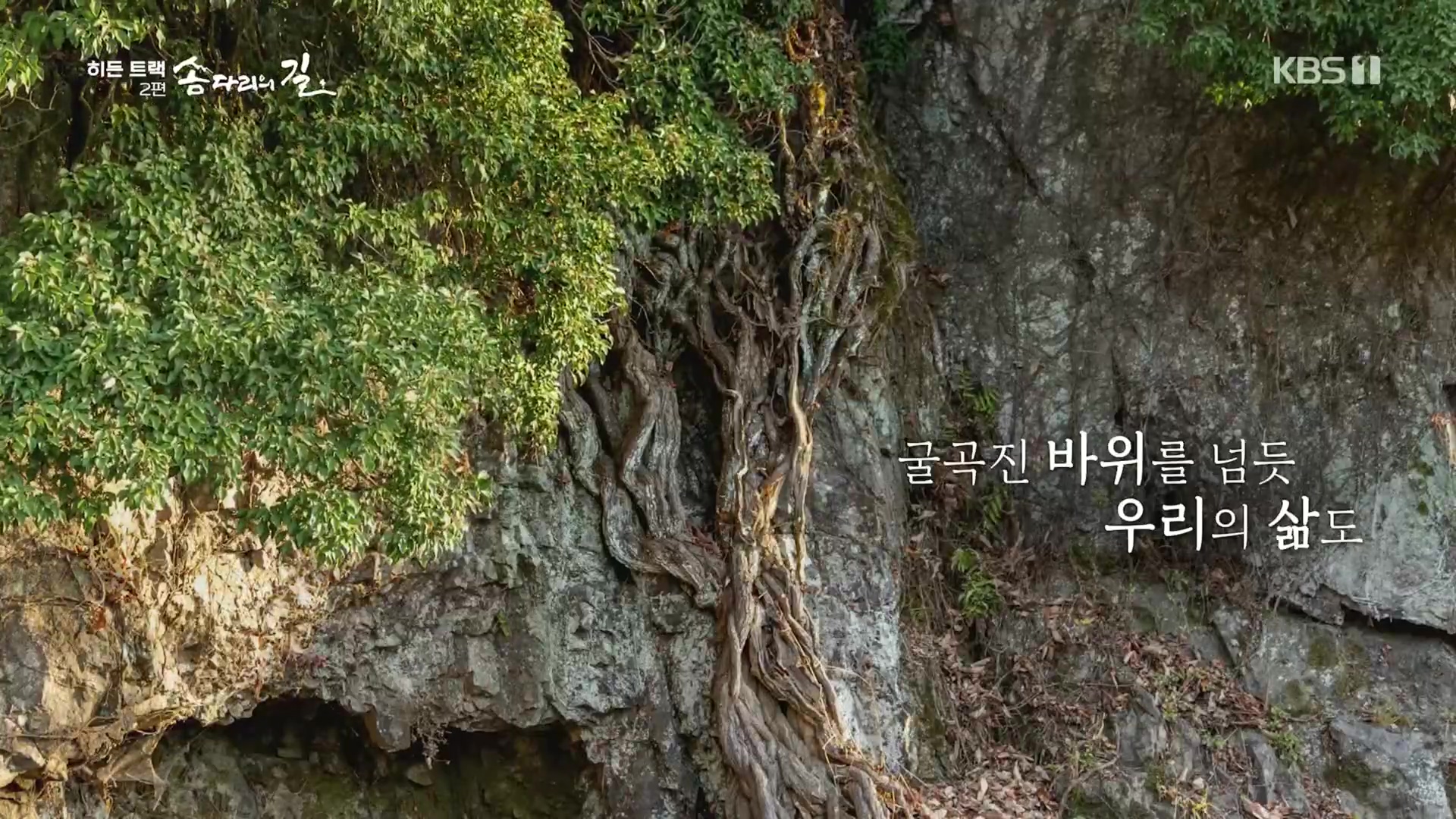 다큐 인사이트.E02.231215p.H264-F1RST.mp4_20231216_190036.054.jpg