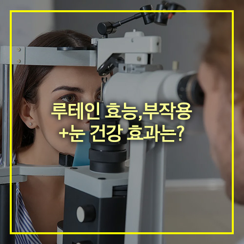 루테인 효능 및 부작용