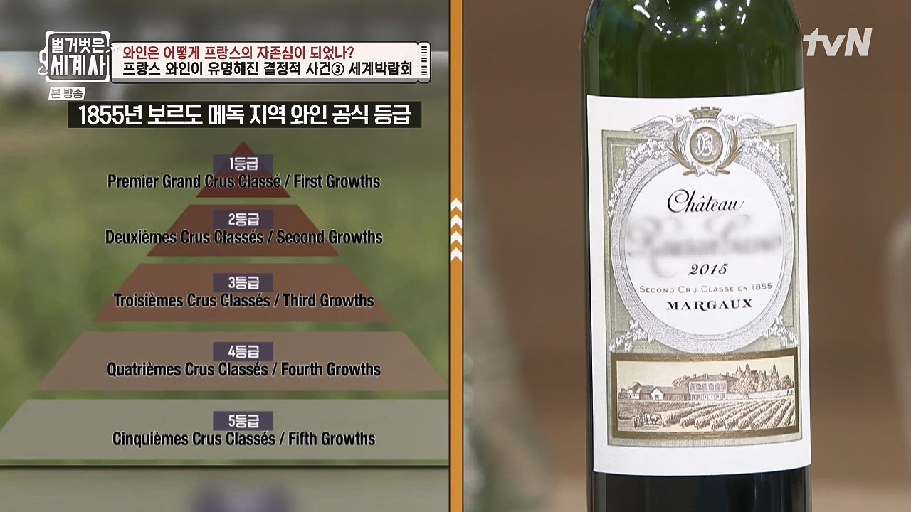 벌거벗은 세계사.E121.231018p-NEXT.mp4_20240518_165539.236.jpg