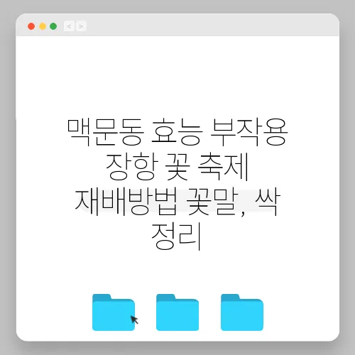 맥문동 효능 부작용 장항 꽃 축제 재배방법 꽃말, 싹 정리