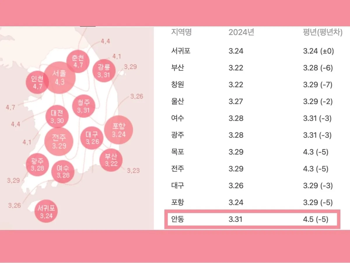 안동벚꽃축제