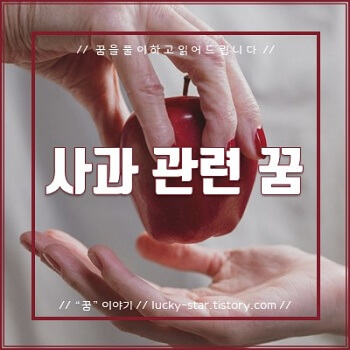  【꿈해몽/꿈풀이】 사과 관련 꿈