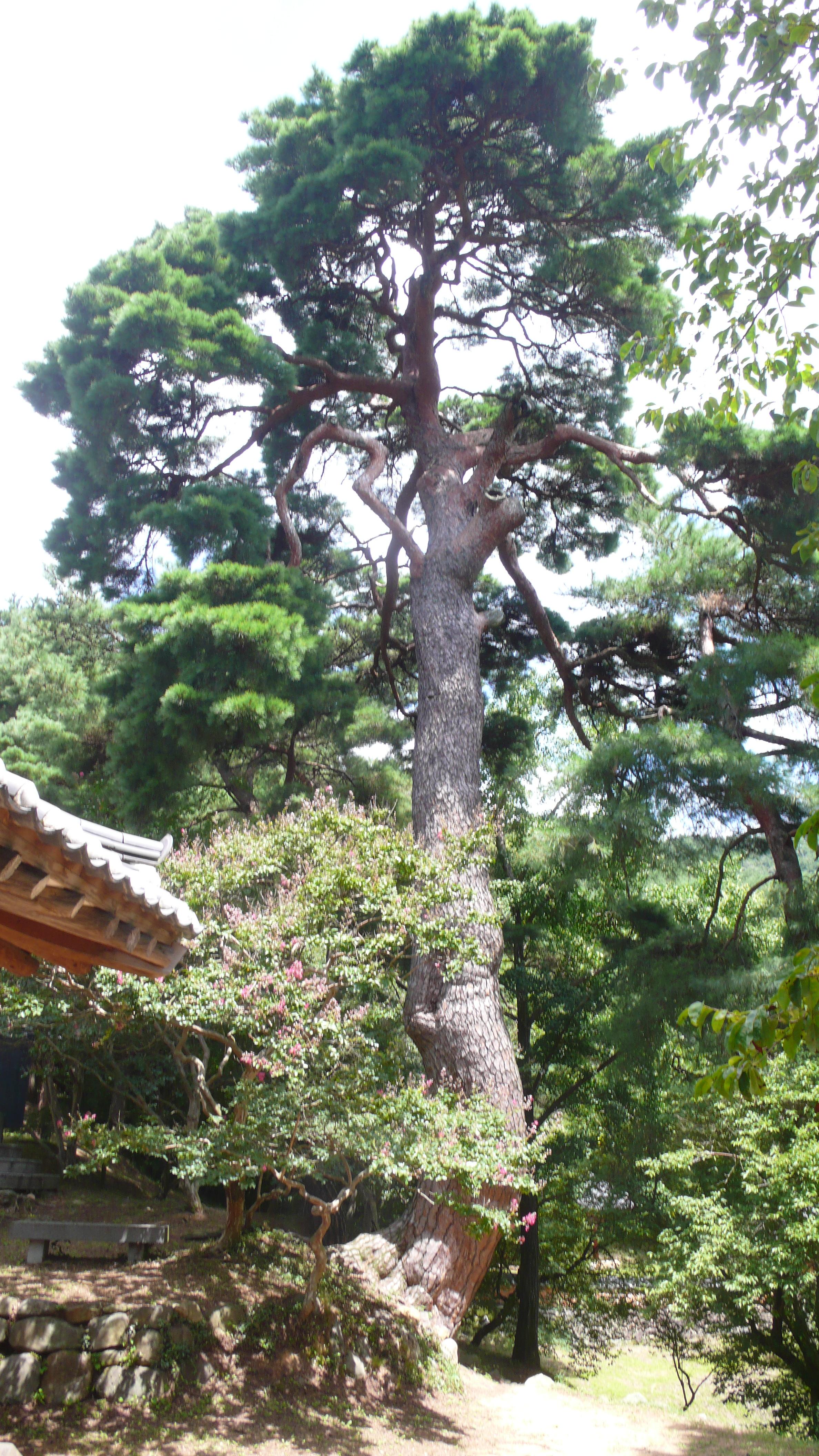 식영정 이미지