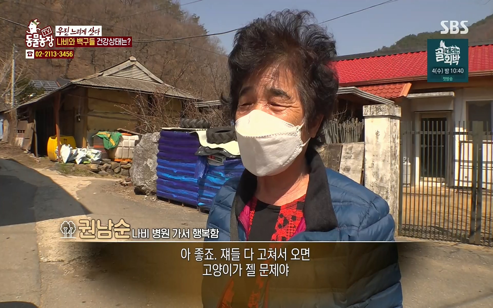 TV 동물농장.E1067.220501p.H264-F1RST.mp4_20220501_185022.572.jpg