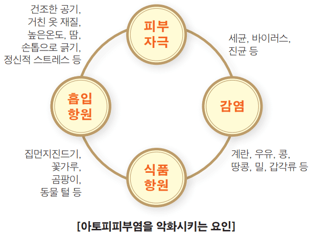 아토피피부염을-악화시키는-요인을-보여주는-그림