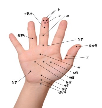 엄지손 이미지
