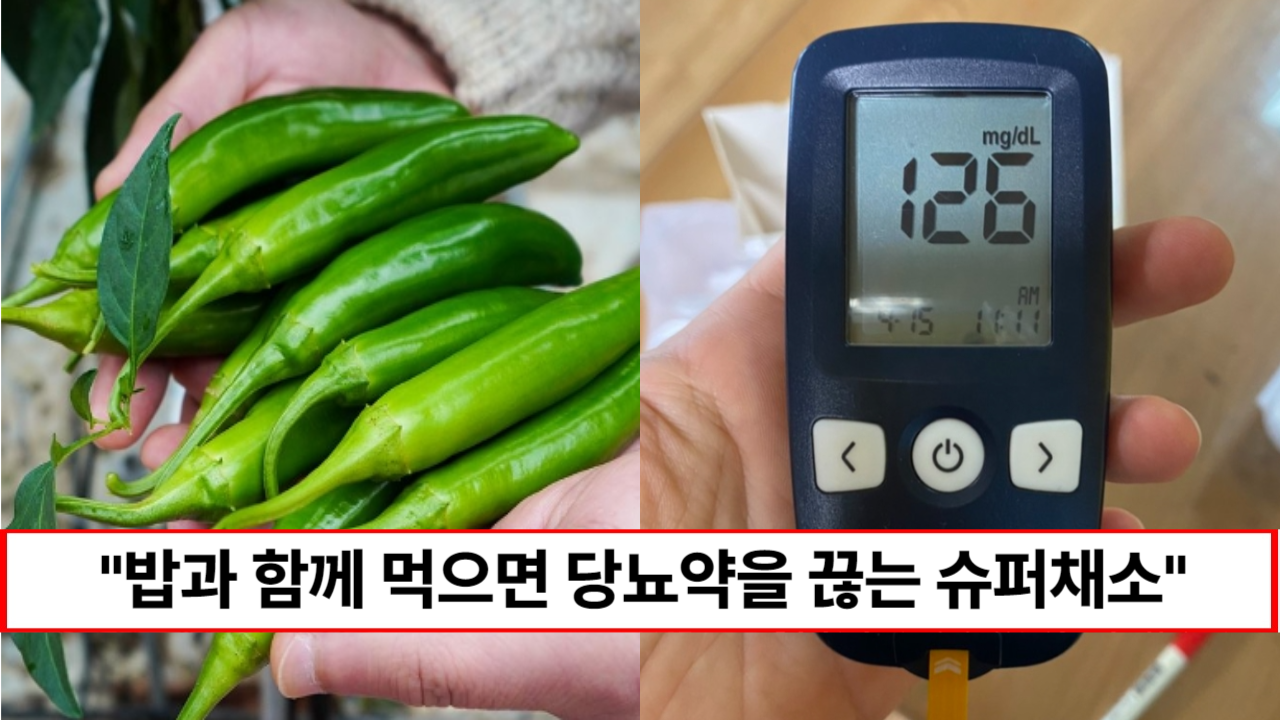 “당뇨약 끊고 밥과 함께 드시면 됩니다” 혈당약까지 끊게 만든 전 세계가 극찬한 채소 1가지 “당뇨약 끊고 밥과 함께 드시면 됩니다” 혈당약까지 끊게 만든 전 세계가 극찬한 채소 1가지