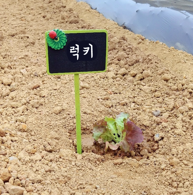  신주머니 흔들며 등교하는 아이의 뒷모습(23.04.04)