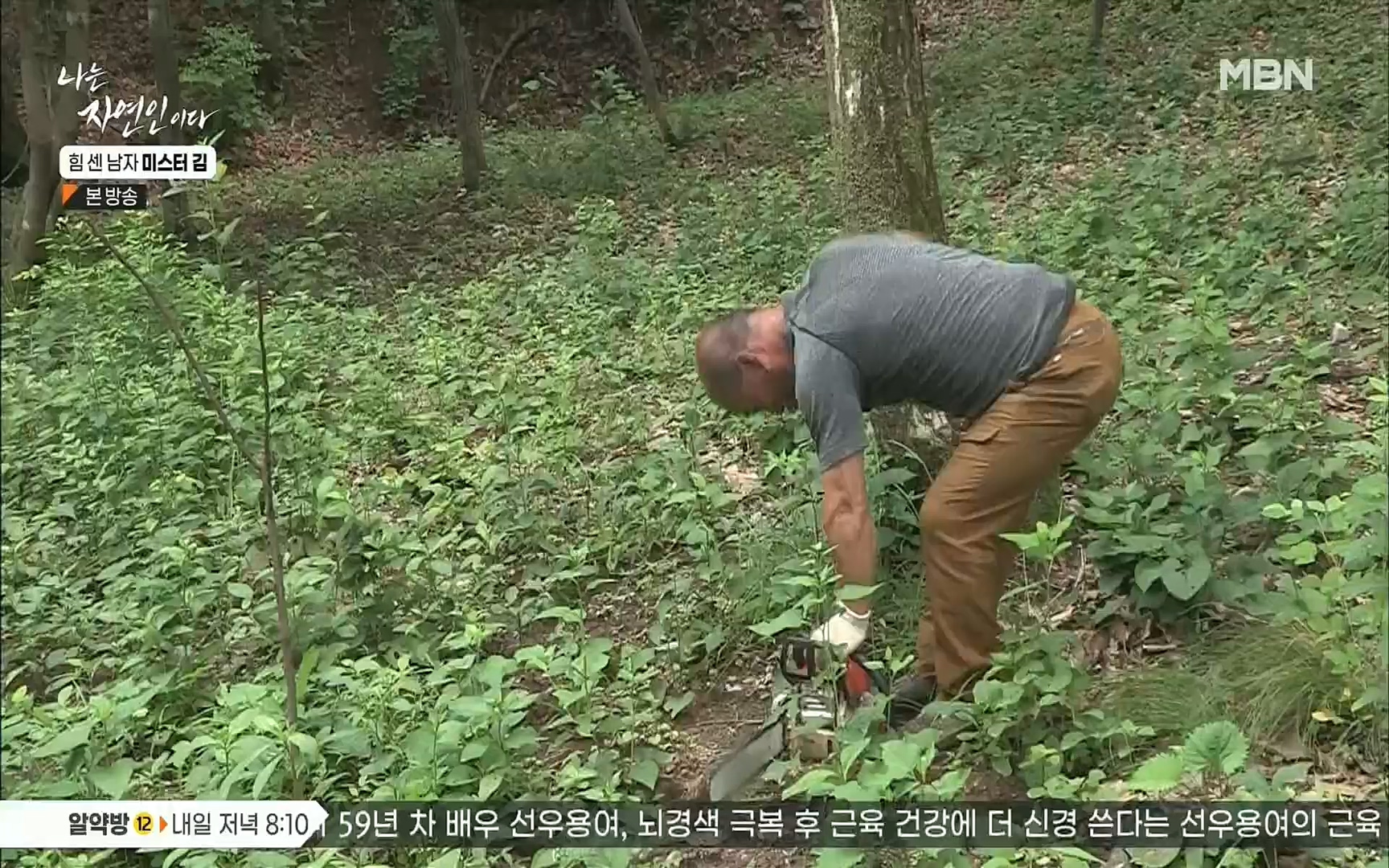 나는 자연인이다.E510.220713p.H264-F1RST.mp4_20220714_180655.156.jpg