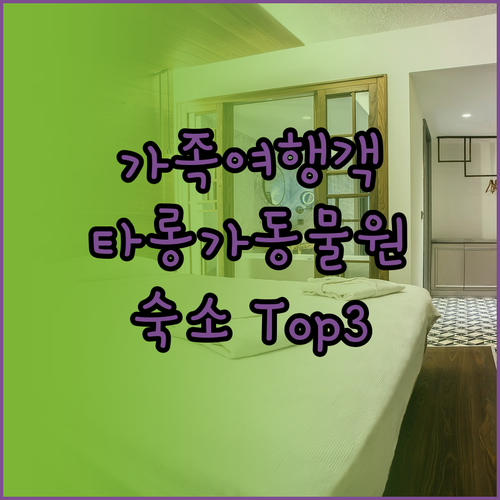 가족 여행객 주목 시드니 타롱가 동물