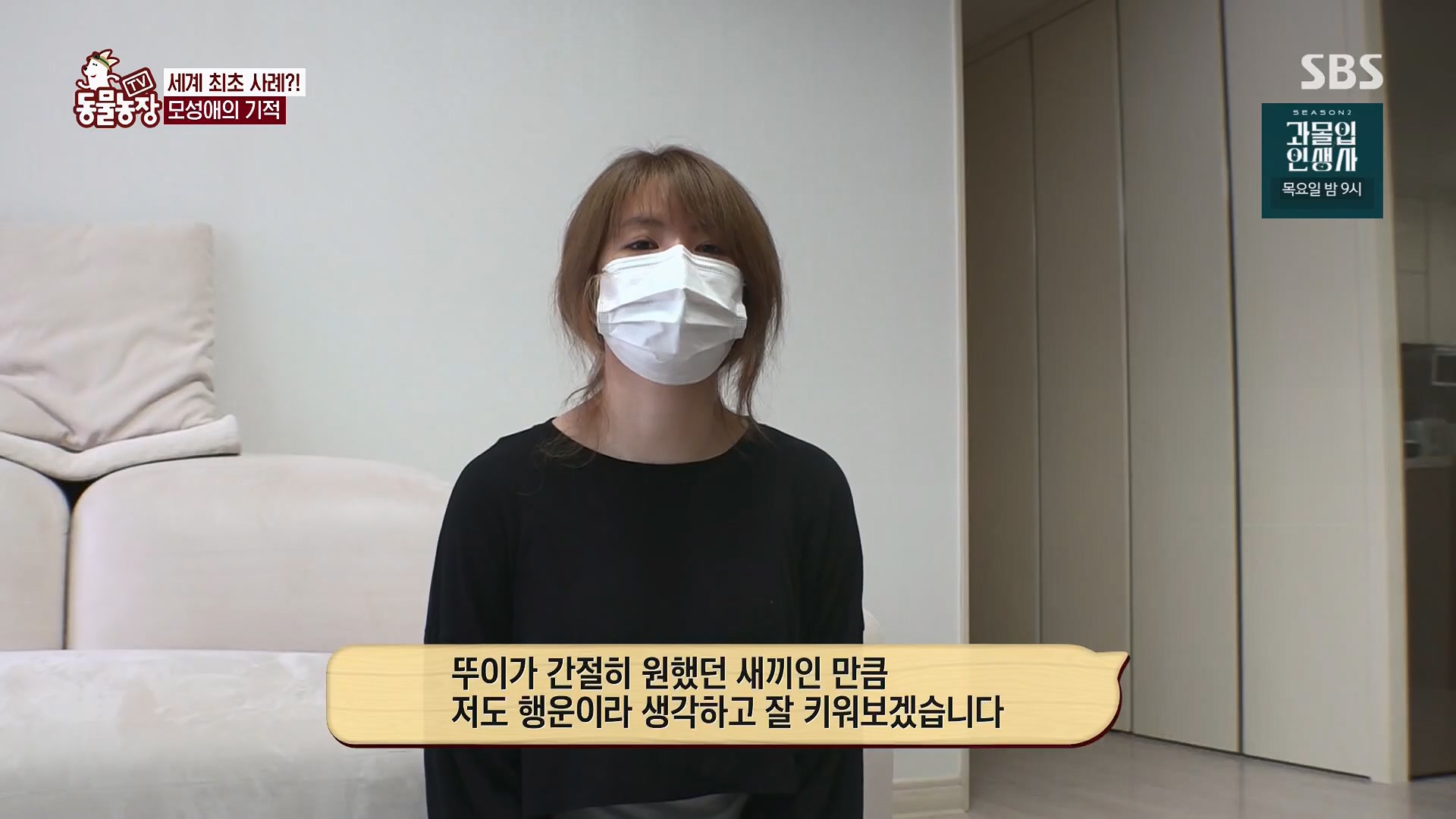 TV 동물농장.E1180.240714p.H264-F1RST.mp4_20240715_201736.535.jpg