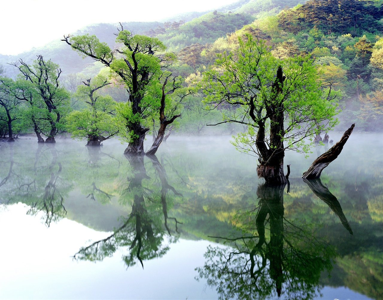 주산지
