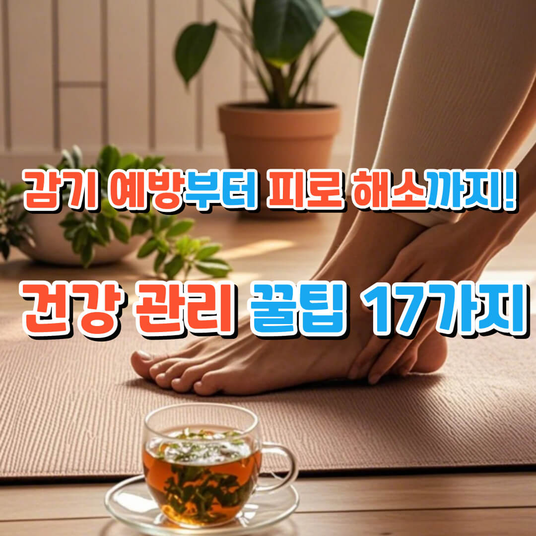 건강 관리 꿀팁 17가지