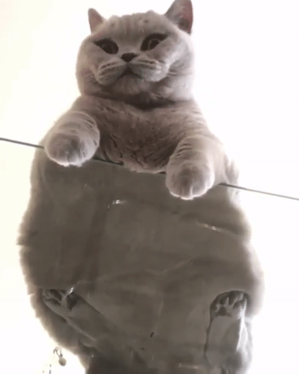   뚜뚜월드