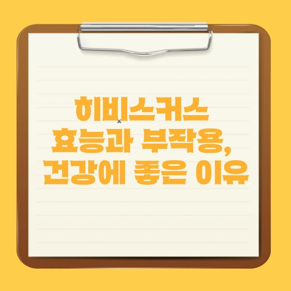 히비스커스 효능과 부작용 건강에 좋은 이유