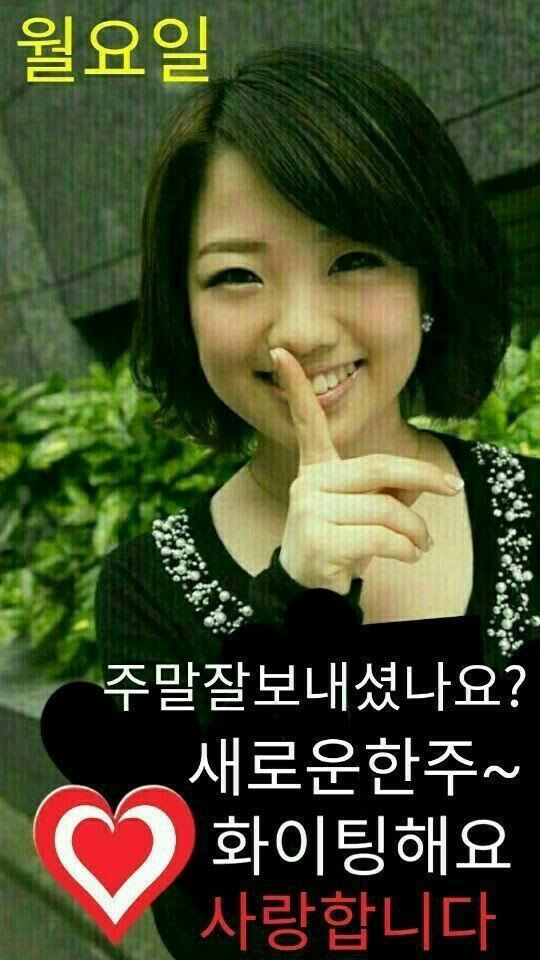 세로운 이미지