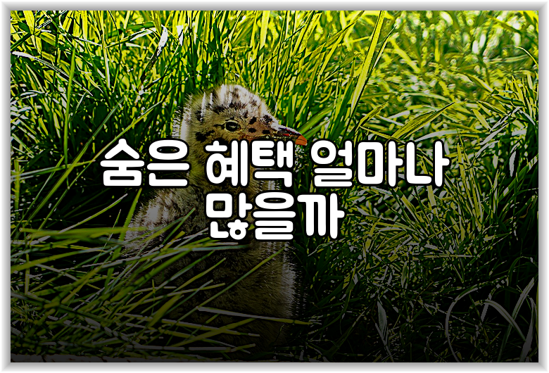 숨은 혜택 얼마나 많을까