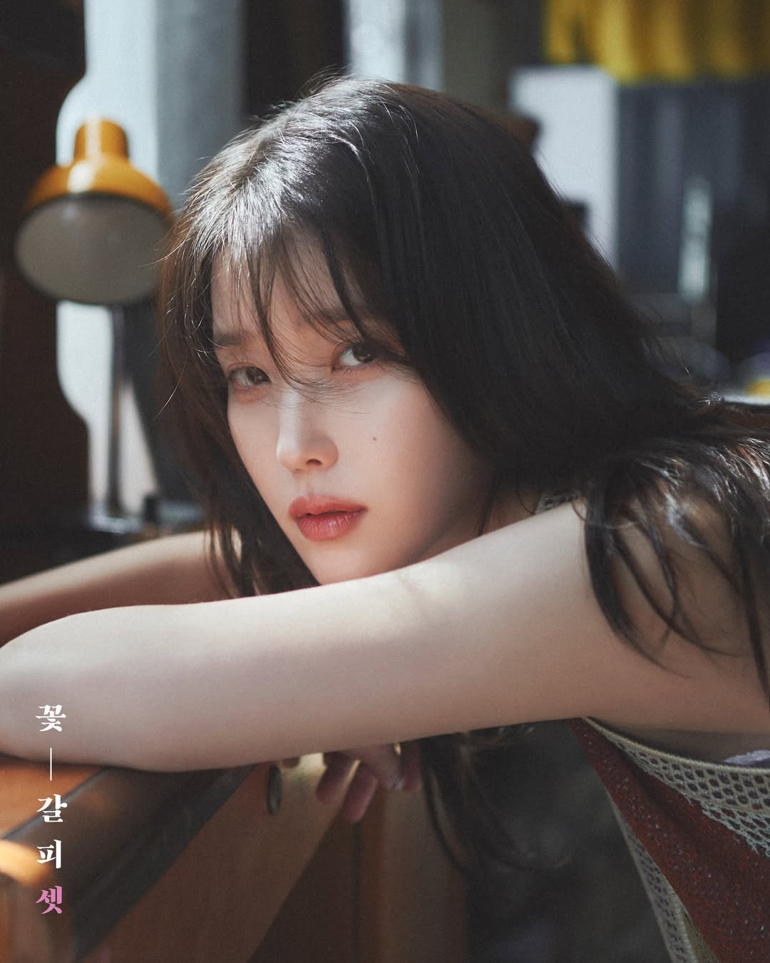 꽃갈피 이미지
