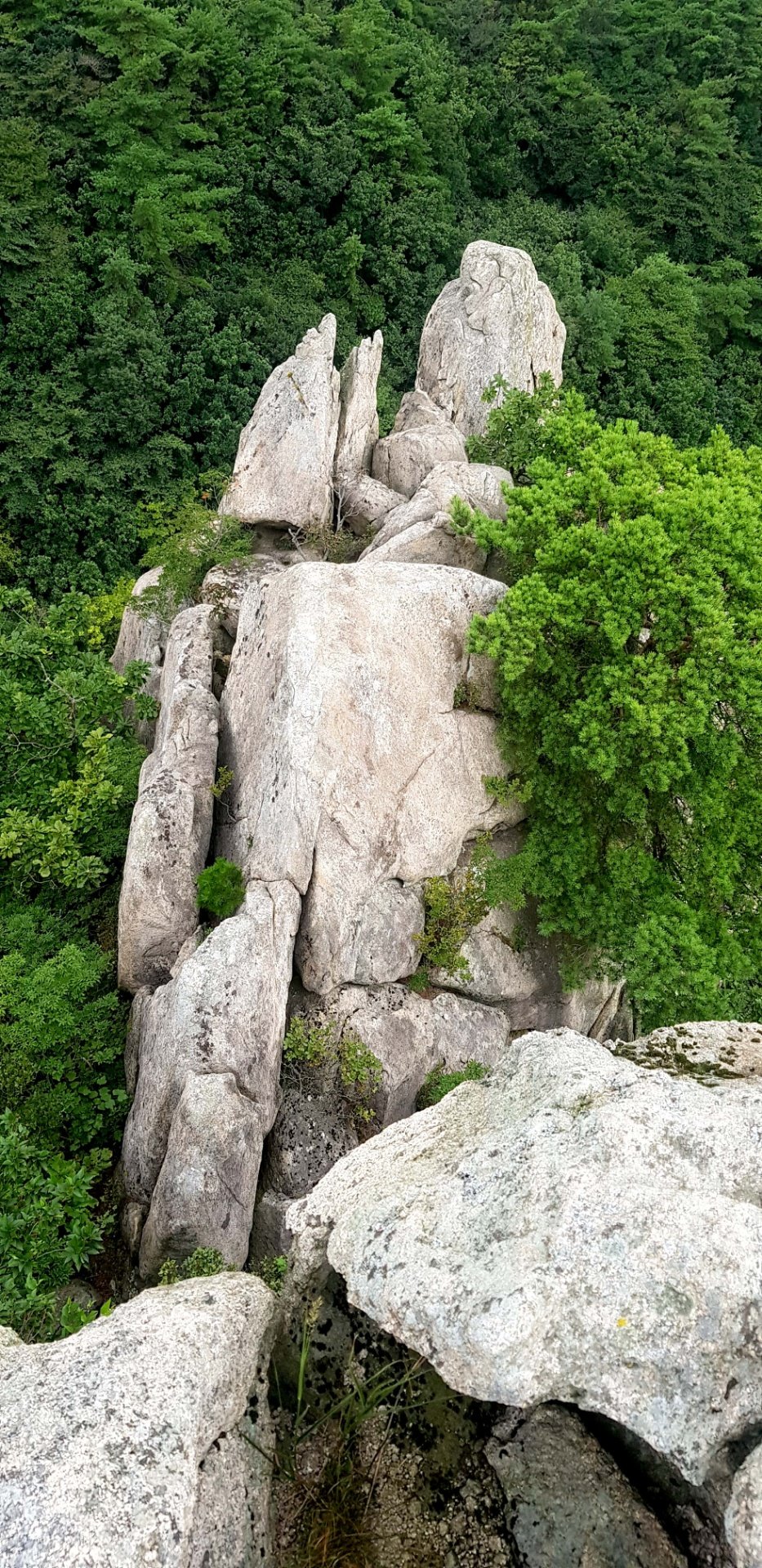 부산 금정산 무명릿지