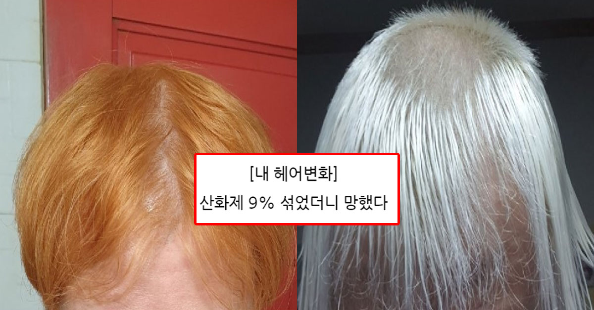  산화제 많이 넣고 염색한 디씨인 대참사 ㄷㄷㄷ
