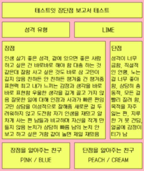 테스트잇 장단점 보고서 테스트 mbti