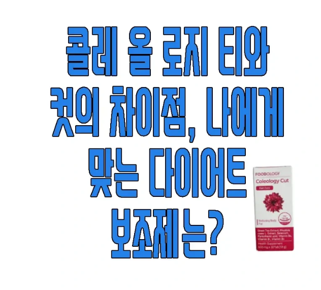 콜레올로지에 관한 글 보러 가기 링크 사진