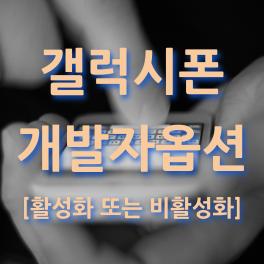  갤럭시 개발자 옵션 활성화 또는 비활성화 하기