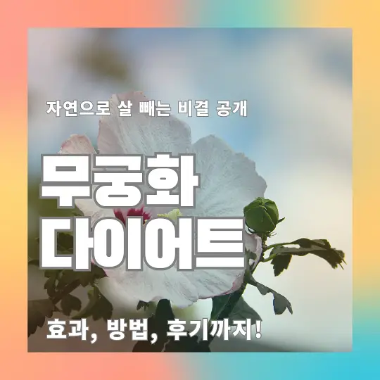 무궁화 다이어트