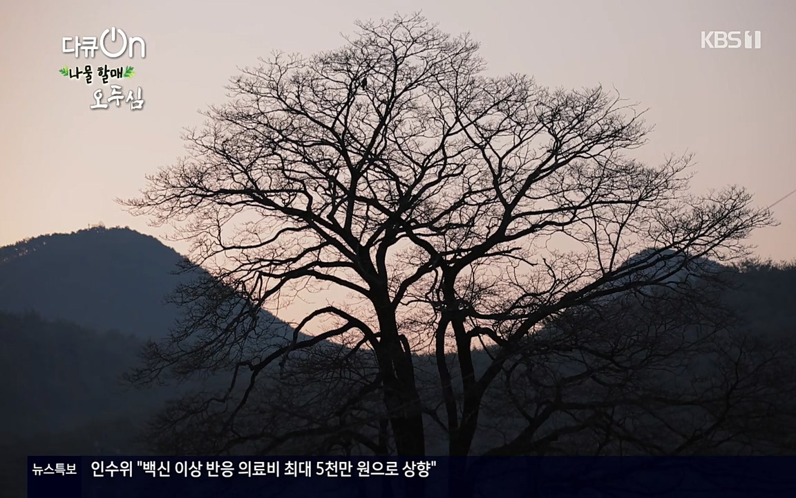 다큐 온.E138.220507p-NEXT.mp4_20220507_181348.417.jpg