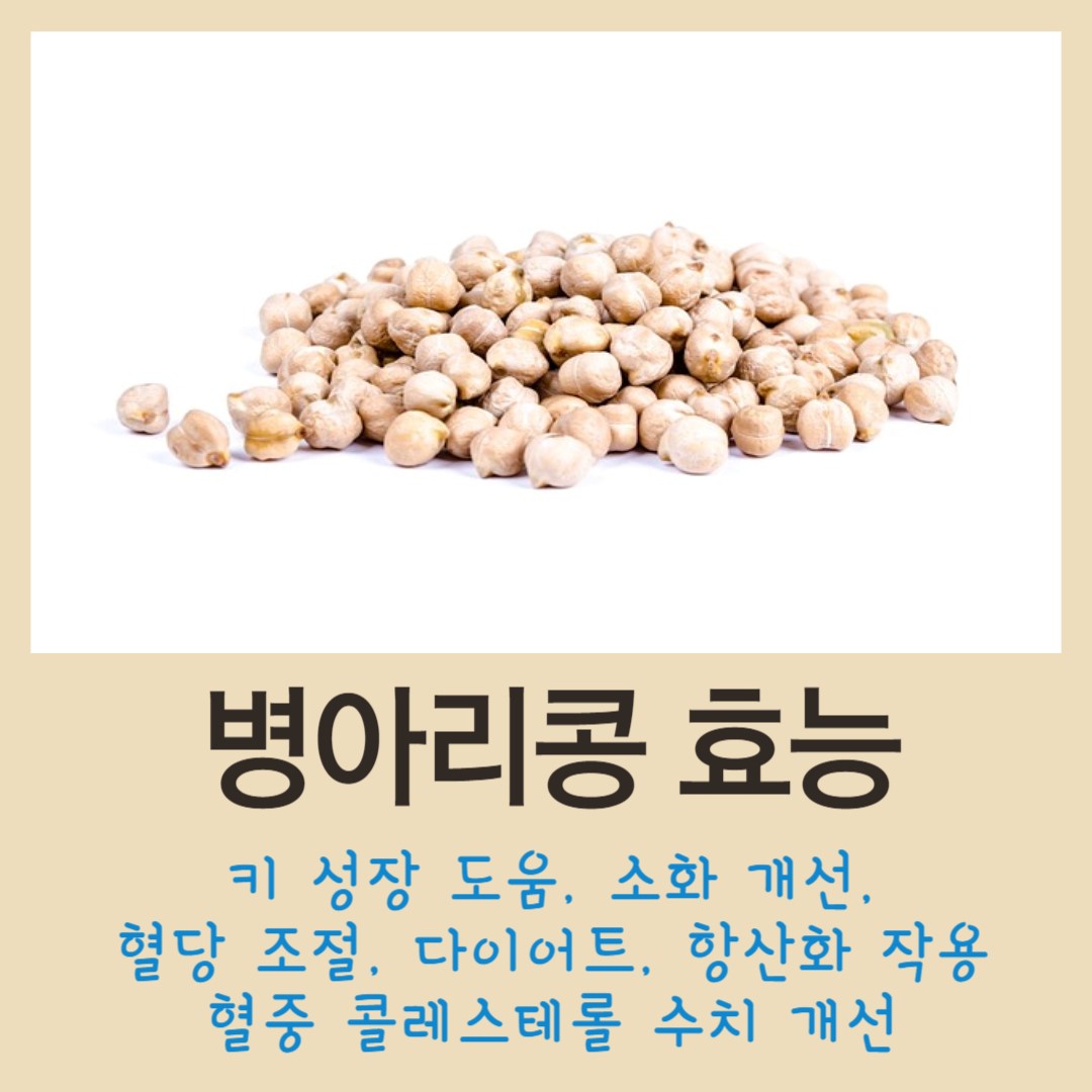 병아리콩-효능에-대한-설명과-병아리콩-사진