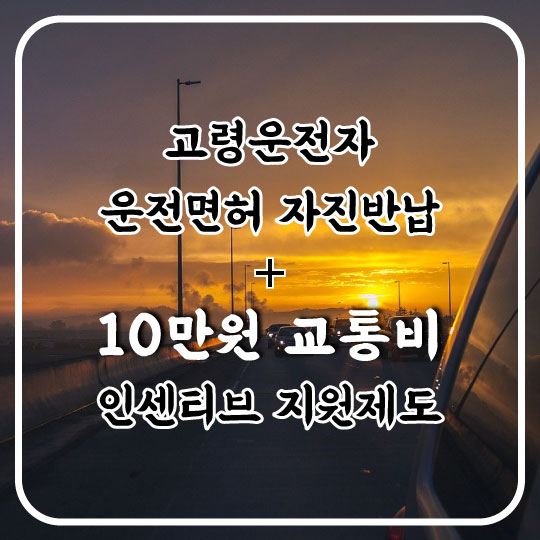  서울시 고령운전자 면허 자진반납 인센티브 지원. 10만원 교통비 신청방법