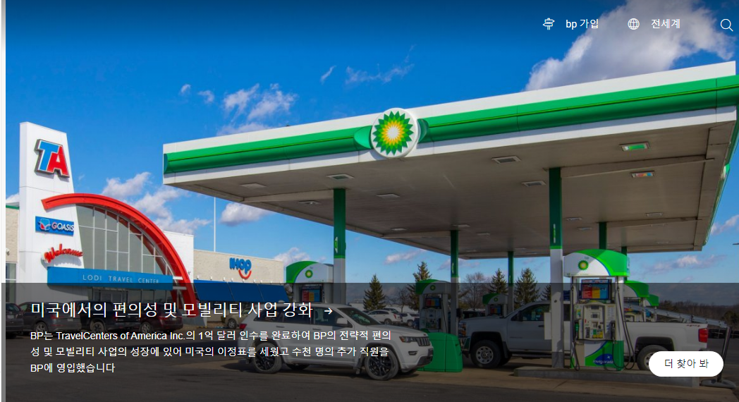  BP(British Petroleum)의 문화 가치관 근무환경및 복지 미래전망