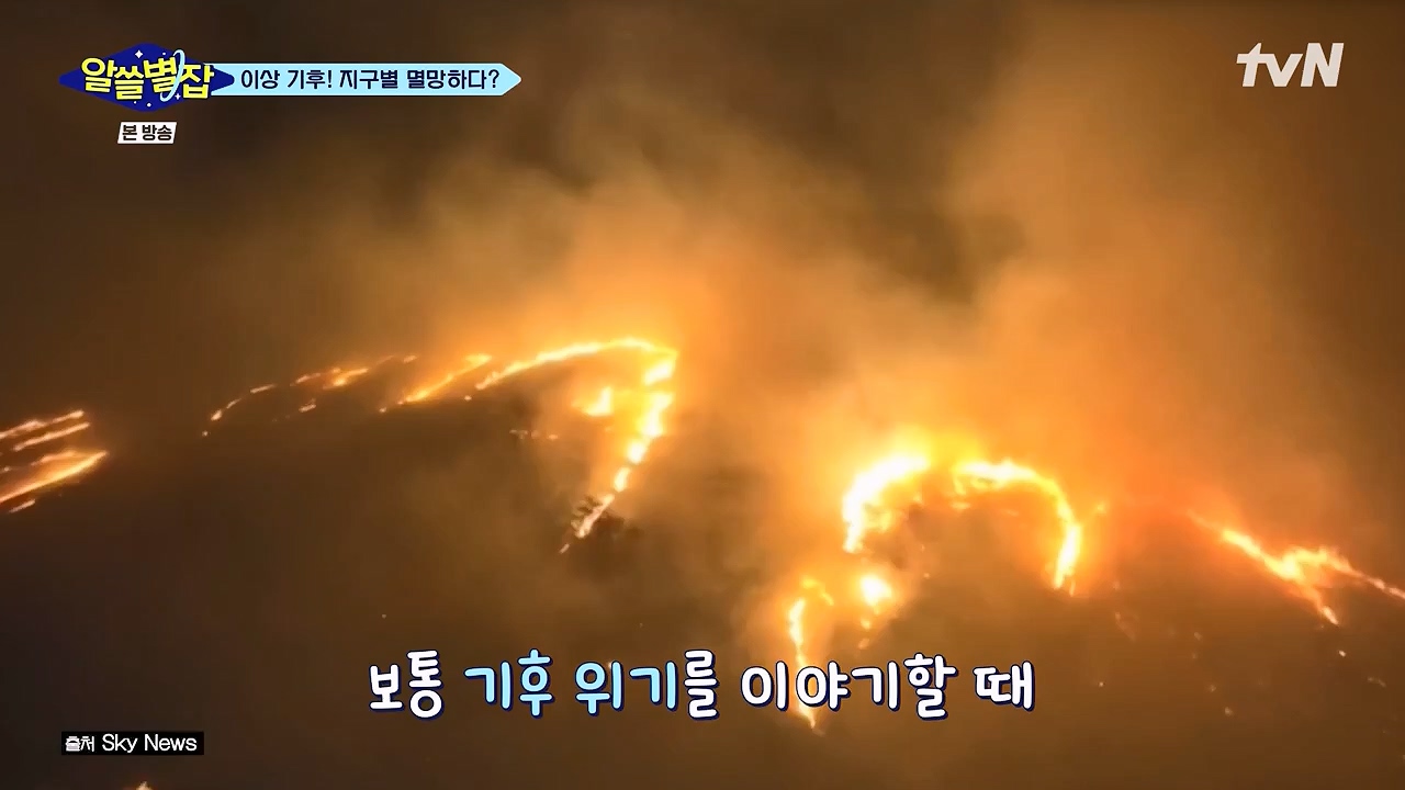 알쓸별잡.E06.230908p-NEXT.mp4_20230916_151237.398.jpg