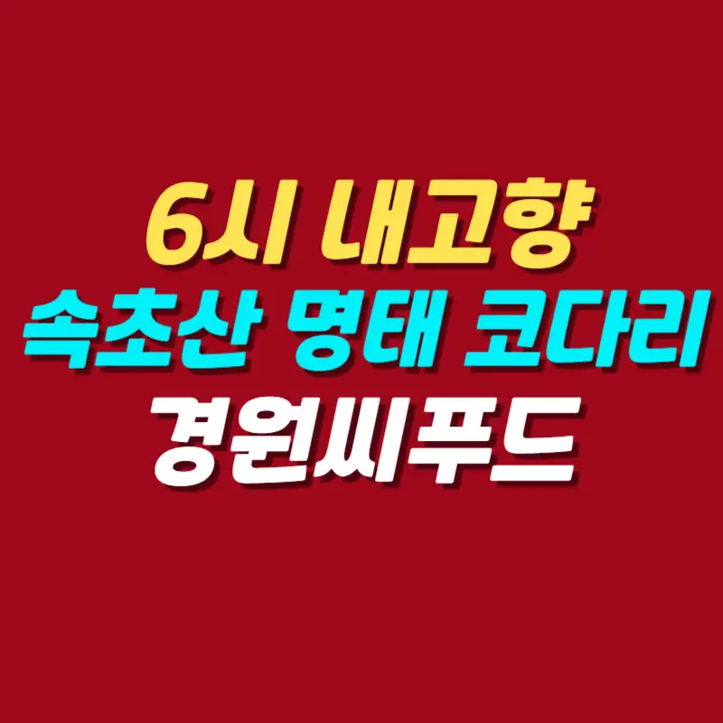 6시-내고향-청정해역-속초산-명태-코다리